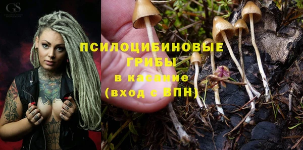 МДПВ Алексин